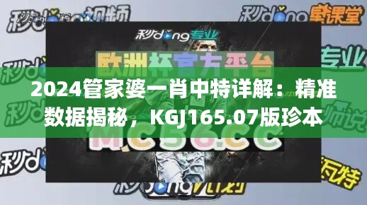 2024管家婆一肖中特详解：精准数据揭秘，KGJ165.07版珍本