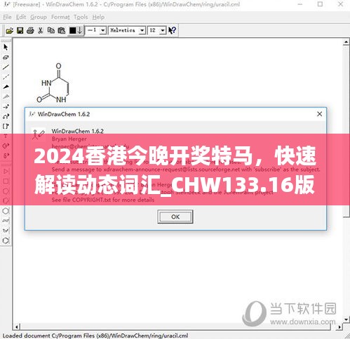 2024香港今晚开奖特马，快速解读动态词汇_CHW133.16版