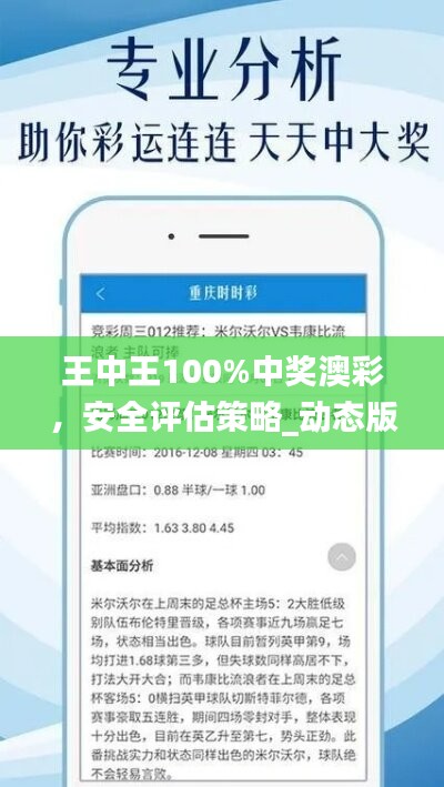 王中王100%中奖澳彩，安全评估策略_动态版ZYR633.22