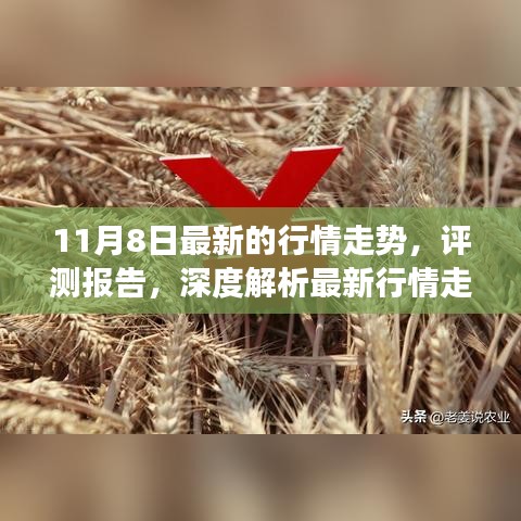 深度解析，最新行情走势报告——以11月8日市场数据为例