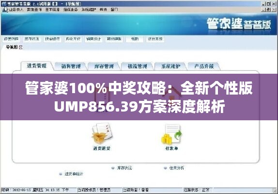 管家婆100%中奖攻略：全新个性版UMP856.39方案深度解析