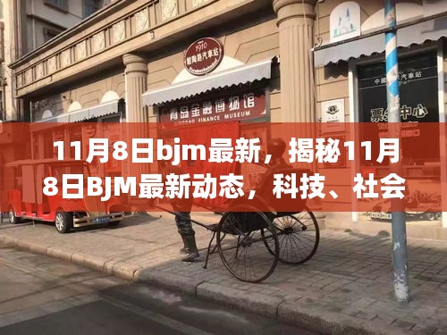 揭秘，11月8日BJM最新动态——科技、社会与经济领域的焦点聚焦