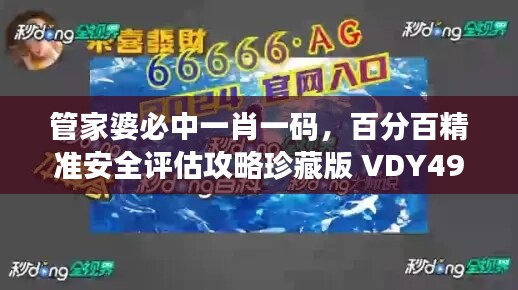 管家婆必中一肖一码，百分百精准安全评估攻略珍藏版 VDY498.73