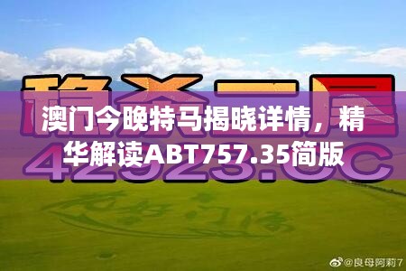 澳门今晚特马揭晓详情，精华解读ABT757.35简版