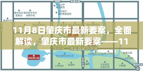 肇庆市最新要案深度解读，11月8日事件评测报告