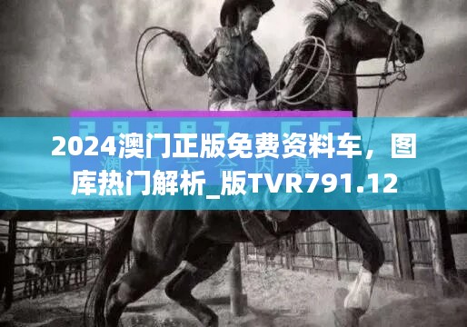 2024澳门正版免费资料车，图库热门解析_版TVR791.12