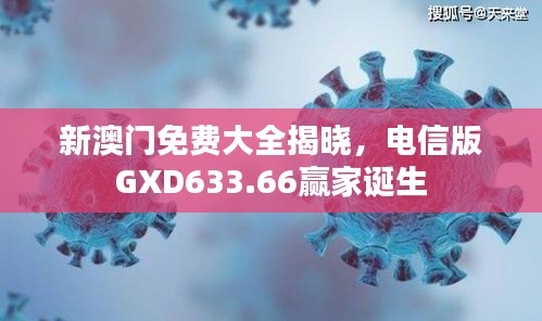 新澳门免费大全揭晓，电信版GXD633.66赢家诞生