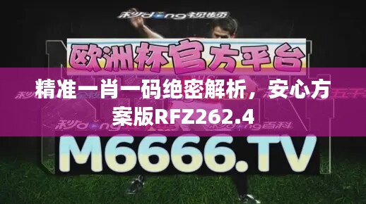 精准一肖一码绝密解析，安心方案版RFZ262.4