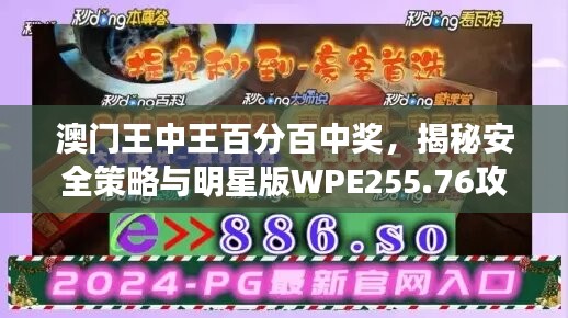 澳门王中王百分百中奖，揭秘安全策略与明星版WPE255.76攻略