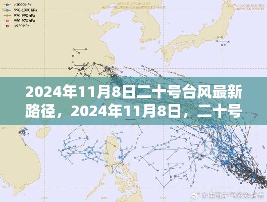 二十号台风最新路径动态，小红书版 2024年11月8日