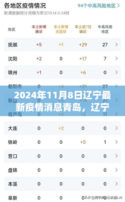 2024年11月8日辽宁与青岛疫情交汇点观察报告，最新消息与动态