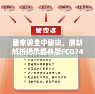 管家婆全中秘诀，最新解析揭示经典版FCO748.71特色