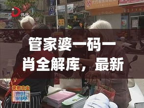 管家婆一码一肖全解库，最新动态词汇解读_VMP422.36版