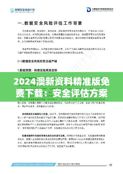 2024澳新资料精准版免费下载：安全评估方案视频教程RIG528.89