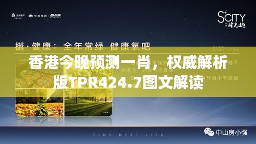 香港今晚预测一肖，权威解析版TPR424.7图文解读