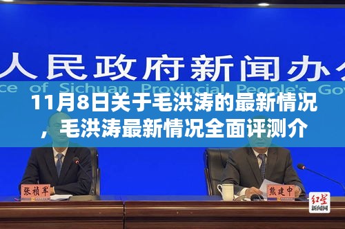 毛洪涛最新情况全面解析，特性、体验、竞品对比与用户洞察，11月8日最新报道