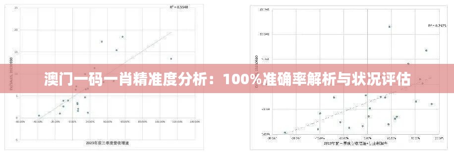 澳门一码一肖精准度分析：100%准确率解析与状况评估