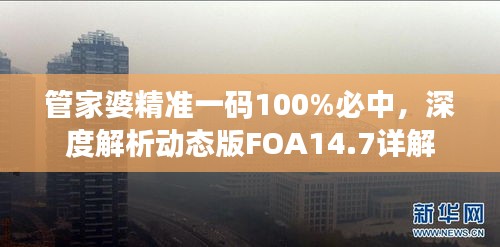 管家婆精准一码100%必中，深度解析动态版FOA14.7详解