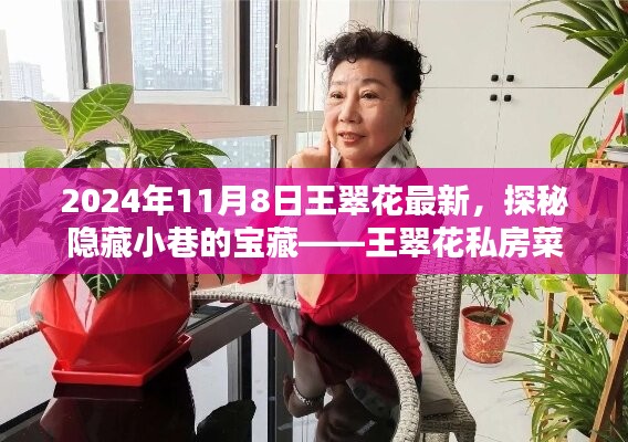 探秘隐藏小巷的宝藏，王翠花私房菜的最新美食之旅（2024年11月8日）