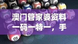 澳门管家婆资料一码一特一，手游版核心解析TAI141.13