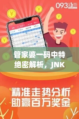 管家婆一码中特绝密解析，JNK314.24独版精选