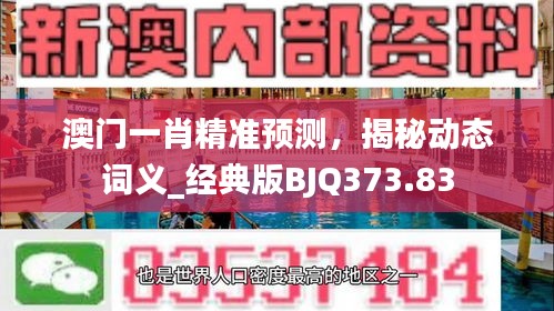 澳门一肖精准预测，揭秘动态词义_经典版BJQ373.83