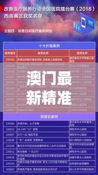 澳门最新精准龙门解析：简易版SMY239.34全新方案揭晓