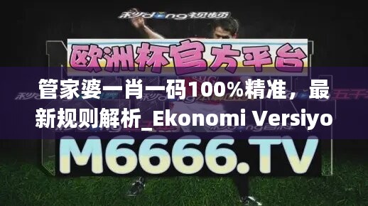 管家婆一肖一码100%精准，最新规则解析_Ekonomi Versiyon VKJ925.48