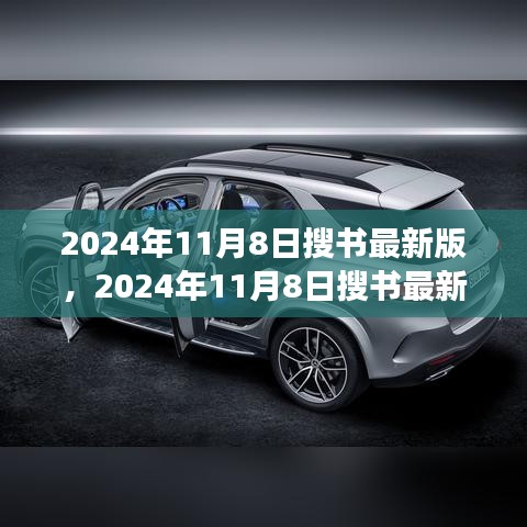 革新与争议之间的思考，2024年11月8日搜书最新版