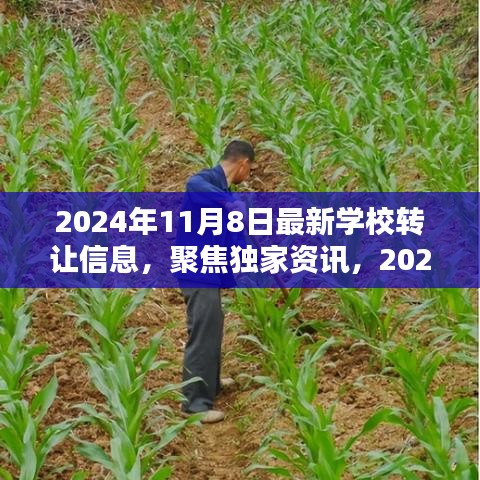 独家聚焦，2024年学校转让最新动态——以某学校转让案例深度解析