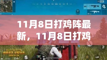 11月8日打鸡阵狂欢夜全攻略，体验、心得一网打尽！