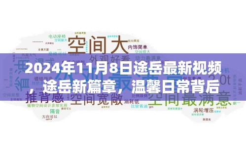 途岳新篇章，深厚友情背后的温馨日常（2024年11月8日最新视频）