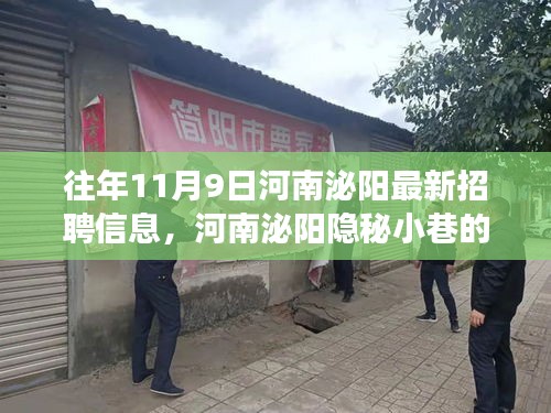 揭秘河南泌阳隐秘小巷宝藏小店，职场奇遇与最新招聘信息一网打尽（往年11月9日）