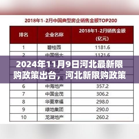 河北新限购政策出台重塑房地产格局里程碑，2024年河北限购新规定出炉！