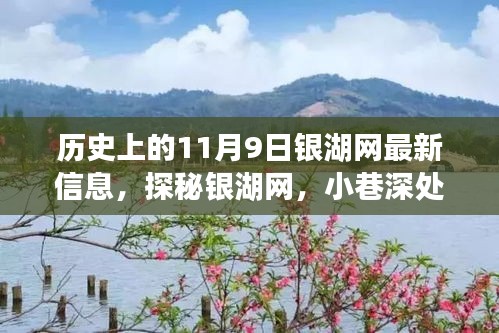 历史上的11月9日揭秘，银湖网最新动态与小巷深处的独特风味探索