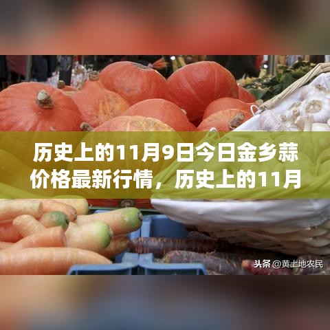 历史上的11月9日金乡蒜价格揭秘，最新行情分析与市场趋势探讨