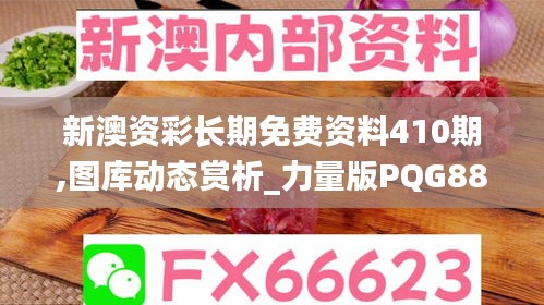 新澳资彩长期免费资料410期,图库动态赏析_力量版PQG889.92