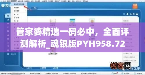 管家婆精选一码必中，全面评测解析_魂银版PYH958.72