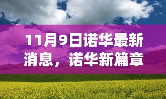 诺华新篇章，启程寻找内心的宁静与平和之旅（11月9日最新消息）