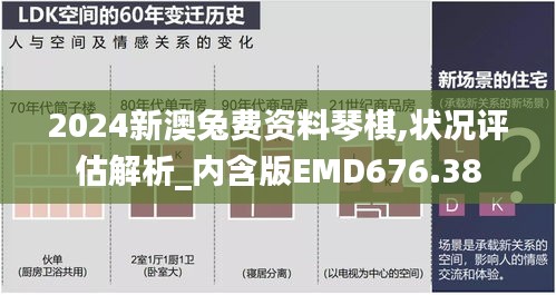 2024新澳兔费资料琴棋,状况评估解析_内含版EMD676.38