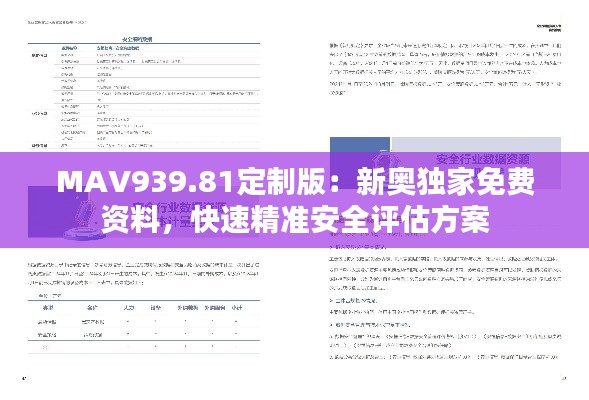 MAV939.81定制版：新奥独家免费资料，快速精准安全评估方案