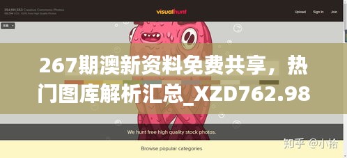 267期澳新资料免费共享，热门图库解析汇总_XZD762.98网页版