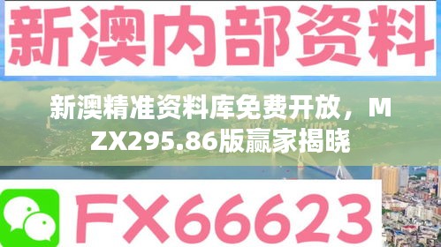 新澳精准资料库免费开放，MZX295.86版赢家揭晓