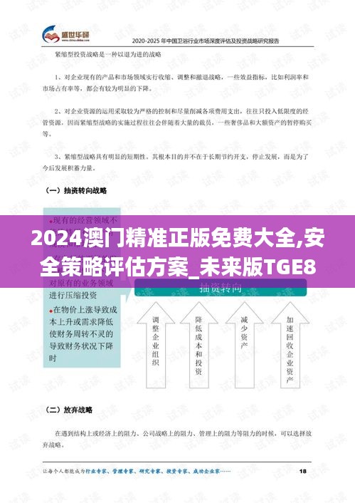 2024澳门精准正版免费大全,安全策略评估方案_未来版TGE868.36