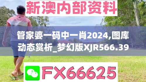 管家婆一码中一肖2024,图库动态赏析_梦幻版XJR566.39