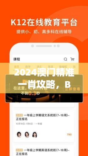 2024澳门精准一肖攻略，BIP620.62便捷版计划解读