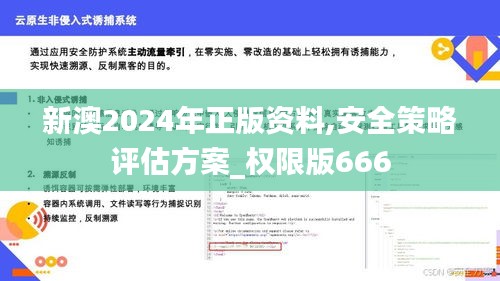 新澳2024年正版资料,安全策略评估方案_权限版666