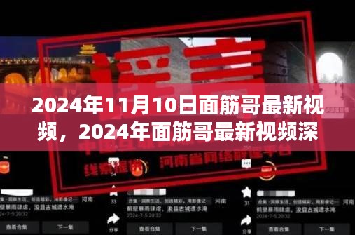 面筋哥最新视频深度解析，探寻背后的故事与情感表达（2024年11月）