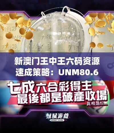 新澳门王中王六码资源速成策略：UNM80.66实战版