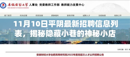 平阴最新招聘信息列表（11月10日版），揭秘神秘小店，一览求职资讯